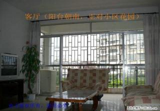 个人住房非中介-育才本部学区房-七星路阳光花园 楼王 3室2厅2卫 - 桂林28生活网 www.28life.com