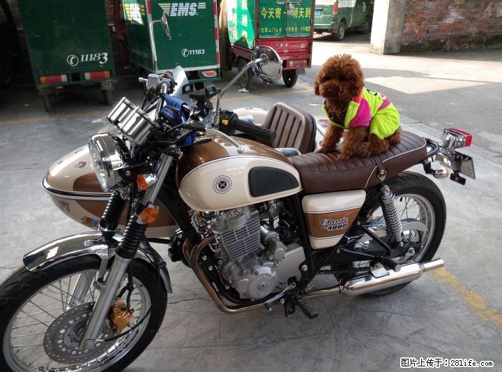 新赞赞的鑫源400个性侉子摩托车，临桂车牌，亏本转让。 - 摩托车 - 摩电单车 - 桂林分类信息 - 桂林28生活网 www.28life.com