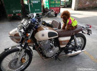 新赞赞的鑫源400个性侉子摩托车，临桂车牌，亏本转让。 - 桂林28生活网 www.28life.com