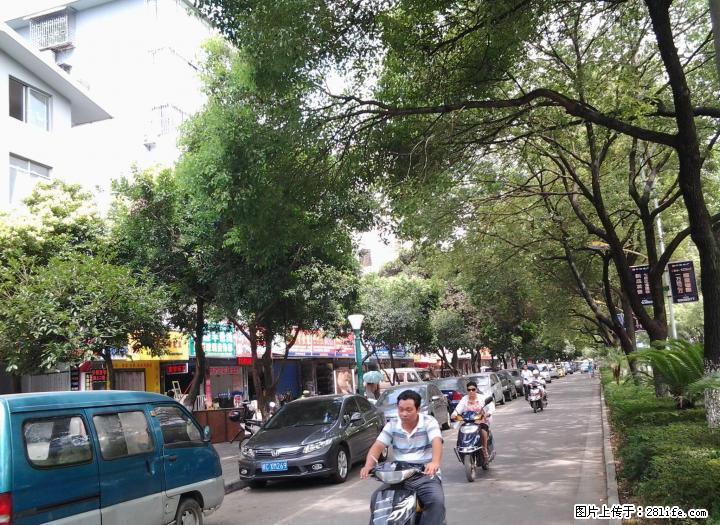 L七星区 普陀路 环城北二路 屏风【花鸟市场】 当街旺铺 37?80万 - 商铺租转 - 房屋租售 - 桂林分类信息 - 桂林28生活网 www.28life.com