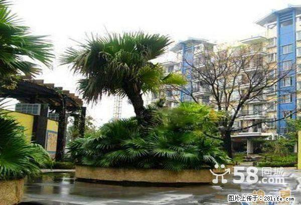 L新!北极广场 九华路芦笛菜市【山水阳光城】2楼精装3房2厅 76万 有车位另售 - 房屋出售 - 房屋租售 - 桂林分类信息 - 桂林28生活网 www.28life.com