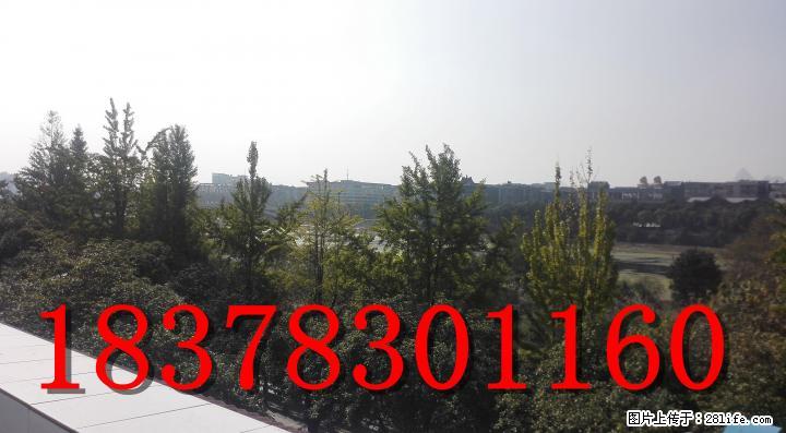 L全江景独栋别墅！！解放桥头临江路一线独栋别墅340平米 仅售850万 - 房屋出售 - 房屋租售 - 桂林分类信息 - 桂林28生活网 www.28life.com