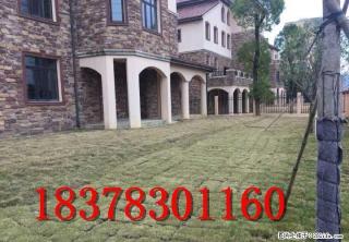 L临桂区【君临山水独栋别墅】五房三厅五卫 594? 450万 双车库 超大花园（真实拍摄） - 桂林28生活网 www.28life.com