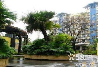 L新！北极广场 九华路芦笛菜市【山水阳光城】2楼精装3房2厅 76万 有车位另售 - 桂林28生活网 www.28life.com