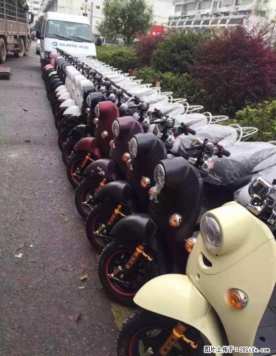 桂林市区品种最多的二手电动车车行，有600，700，800的 - 电动车 - 摩电单车 - 桂林分类信息 - 桂林28生活网 www.28life.com