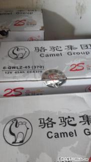 全新正品骆驼免维护汽车电瓶6-QWLZ-45（2S）/包安装 - 桂林28生活网 www.28life.com