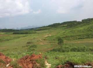 出售墓地需要请联系交通便利…… - 桂林28生活网 www.28life.com