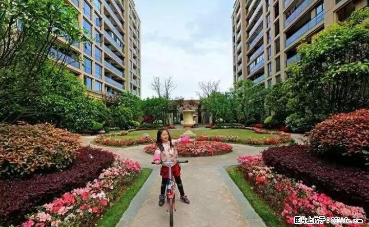 C象山区 净坪山大桥 附近安厦漓江大美 3房2厅清水 115? 66万 - 房屋出售 - 房屋租售 - 桂林分类信息 - 桂林28生活网 www.28life.com