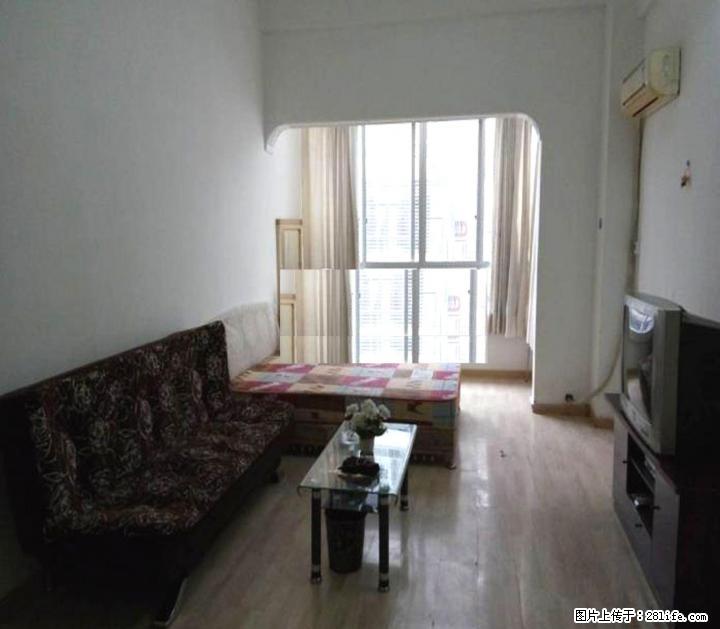 中山南路汽车总站对面先锋天地电梯6楼单间配套带阁楼1200元/月精装修家电家具齐全 - 房屋出租 - 房屋租售 - 桂林分类信息 - 桂林28生活网 www.28life.com