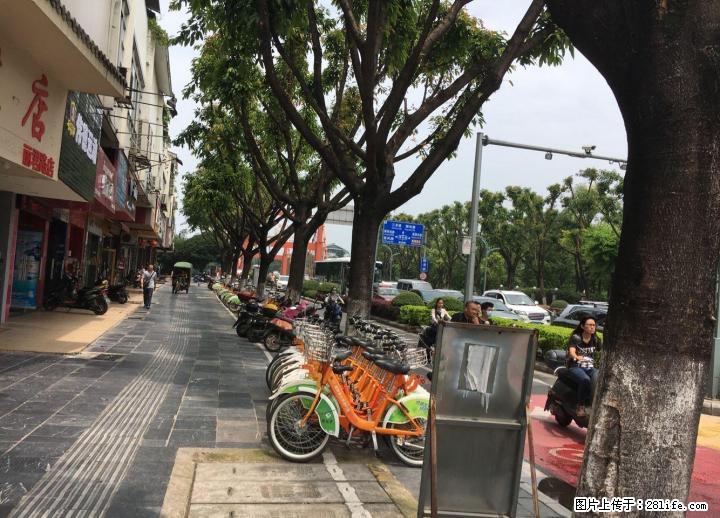 W信义路红桥头十字路口旺铺出售75平方195月租一万 - 商铺租转 - 房屋租售 - 桂林分类信息 - 桂林28生活网 www.28life.com