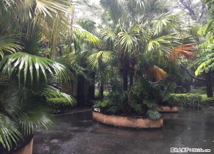 W惊爆价。单价5字开头山水阳光城大四房两厅两卫140平方76万楼梯二楼! - 房屋出售 - 房屋租售 - 桂林分类信息 - 桂林28生活网 www.28life.com