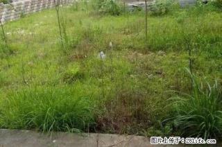 W只要145万就能拥有一临桂新区山水凤凰城大别墅带大花园和车库 - 桂林28生活网 www.28life.com