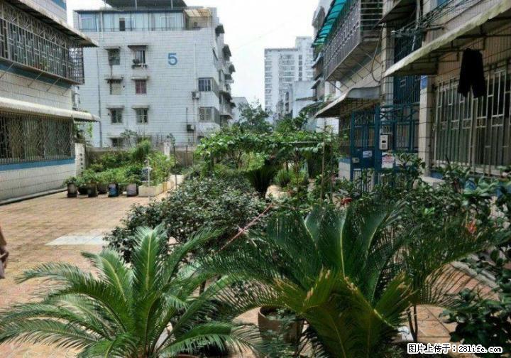 R 三里店急售江景房 甲天下广场旁施家园东江花园 仅售56万 - 房屋出售 - 房屋租售 - 桂林分类信息 - 桂林28生活网 www.28life.com