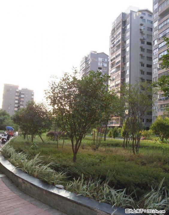 R 北站恒大广场对面【阳光叠彩】电梯复式3房1厅2卫+露台75万 - 房屋出售 - 房屋租售 - 桂林分类信息 - 桂林28生活网 www.28life.com