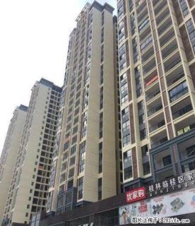 R 秀峰中隐路临桂中隐路交汇处【瑞锦欣城】三房四房精装4800起 - 桂林28生活网 www.28life.com