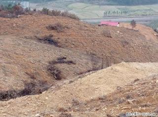 山地120亩，山上的路已经修通 - 桂林28生活网 www.28life.com
