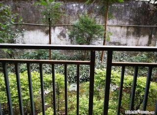 急售  七星区七星公园后门芳香路  公园林涧三房二厅二卫 - 桂林28生活网 www.28life.com