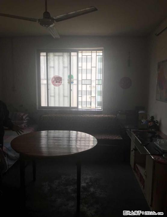 M 沃尔玛商圈 精品两房 地段好 视野开阔 - 房屋出售 - 房屋租售 - 桂林分类信息 - 桂林28生活网 www.28life.com