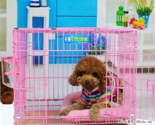 【富嘉利】折叠泰迪宝宝笼 - 桂林28生活网 www.28life.com