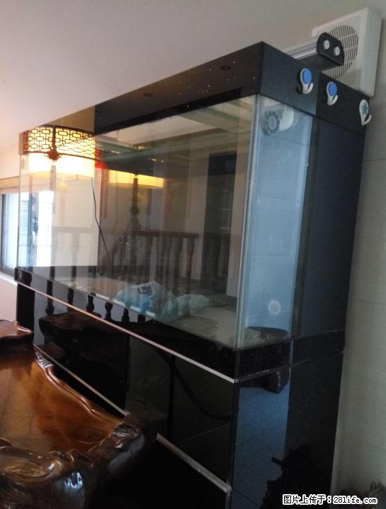 低价转让闲置大热带鱼缸一个 - 宠物食品 - 宠物信息 - 桂林分类信息 - 桂林28生活网 www.28life.com