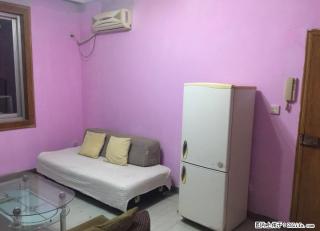 市中心榕湖旁崇善路政府宿舍大院精装修二房一厅1600元 - 桂林28生活网 www.28life.com