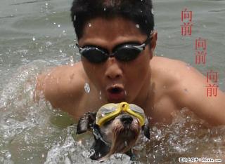 训狗不吃生人喂食,服从口令200元.不乱叫 - 桂林28生活网 www.28life.com