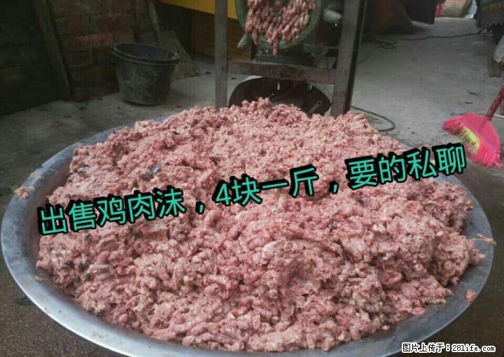 出售鸡肉沫~另有种狗借配 - 宠物食品 - 宠物信息 - 桂林分类信息 - 桂林28生活网 www.28life.com