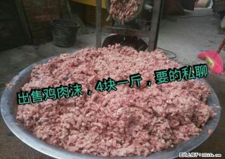 出售鸡肉沫~另有种狗借配 - 桂林28生活网 www.28life.com