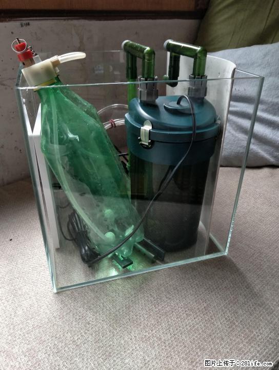 出售一套30超白草缸鱼缸 - 宠物食品 - 宠物信息 - 桂林分类信息 - 桂林28生活网 www.28life.com