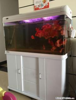 8成新日胜渔缸1M 有图 - 桂林28生活网 www.28life.com