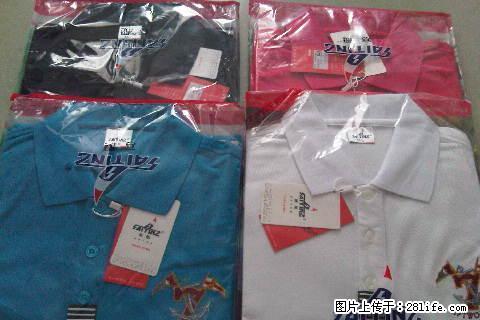 开店剩下的全新短袖50件 - 其它 - 服装服饰 - 桂林分类信息 - 桂林28生活网 www.28life.com