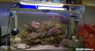 雁山出售80cm长鱼缸一个 - 桂林28生活网 www.28life.com