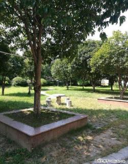 龙隐园Ⅰ区 3室2厅2卫 - 桂林28生活网 www.28life.com