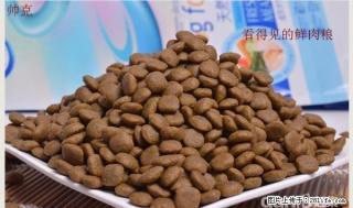 帅克鲜肉宠物粮厂家直销招商代理代加工贴牌生产全国包邮 - 1元 - 桂林28生活网 www.28life.com