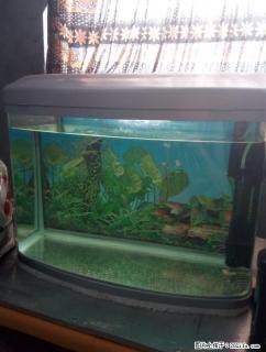 1米带柜鱼缸，再送0.5米小缸1个 - 桂林28生活网 www.28life.com