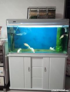 1米带柜鱼缸,送1个小缸 - 桂林28生活网 www.28life.com
