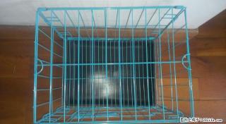 一些 狗笼 低价处理 - 桂林28生活网 www.28life.com