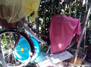 几乎全新永久自行车转让 - 桂林28生活网 www.28life.com