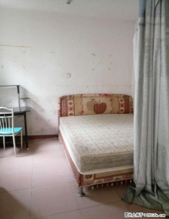 七星区 三里店 师大奇峰小筑 1房1厅 650元出租 - 房屋出租 - 房屋租售 - 桂林分类信息 - 桂林28生活网 www.28life.com