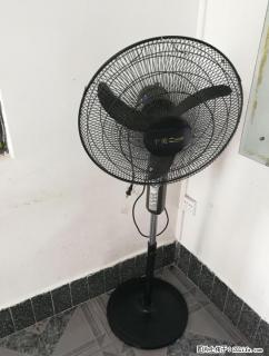 处理一起学生床架 折叠桌椅 电风扇一台 - 桂林28生活网 www.28life.com