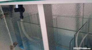 全新1米2子弹头底滤鱼缸低价出售，带实物照片 - 桂林28生活网 www.28life.com