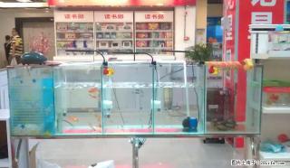 出售鱼缸过滤器、氧气泵、三盏LED射灯(免费送玻璃鱼缸) - 桂林28生活网 www.28life.com
