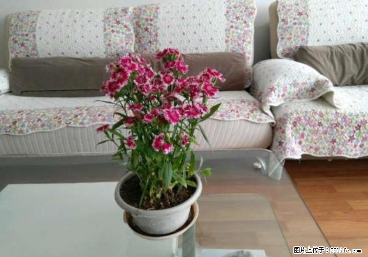 【租】会仙路绿涛湾旁,湖畔山庄,2房2厅,5楼,精装,家具家电齐全,有停车位,2800/ - 房屋出租 - 房屋租售 - 桂林分类信息 - 桂林28生活网 www.28life.com