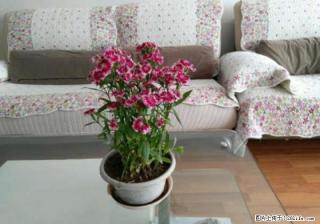 【租】会仙路绿涛湾旁，湖畔山庄，2房2厅，5楼，精装，家具家电齐全，有停车位，2800/ - 桂林28生活网 www.28life.com