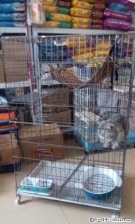 豪华猫笼大型猫笼子双层三层五层猫笼多层高档猫别墅 120元 - 桂林28生活网 www.28life.com