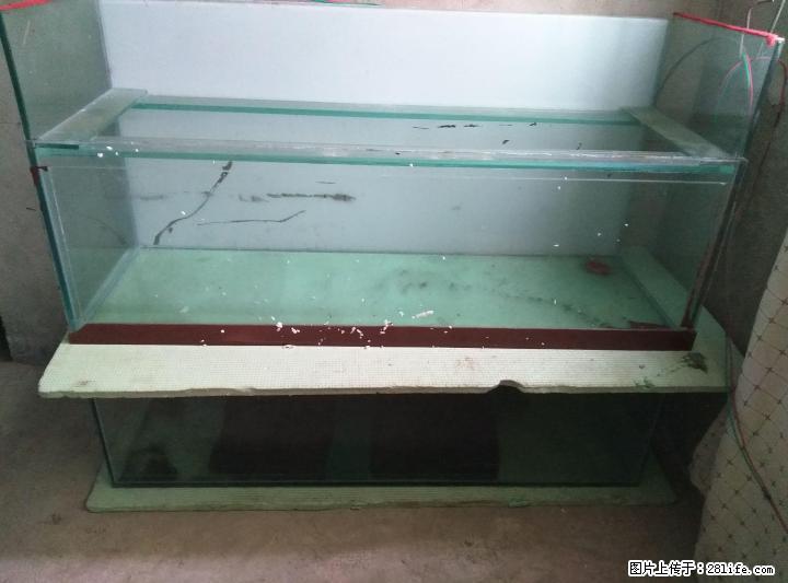 转让 9成新自粘1.26米鱼缸 - 宠物配种及服务 - 宠物信息 - 桂林分类信息 - 桂林28生活网 www.28life.com