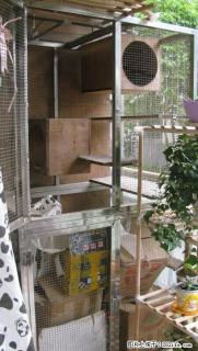 宠物超大房舍出售给爱动物的亲 - 桂林28生活网 www.28life.com