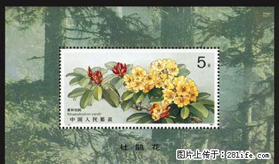 T162M “杜鹃花”小型张 - 其它 - 古玩收藏 - 桂林分类信息 - 桂林28生活网 www.28life.com