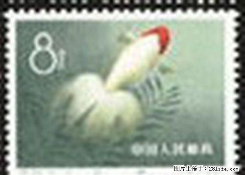 特.38“金鱼”第十枚信销散票（全品像） - 其它 - 古玩收藏 - 桂林分类信息 - 桂林28生活网 www.28life.com