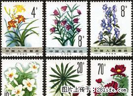 T.72“药用植物”第二组 套票 - 其它 - 古玩收藏 - 桂林分类信息 - 桂林28生活网 www.28life.com
